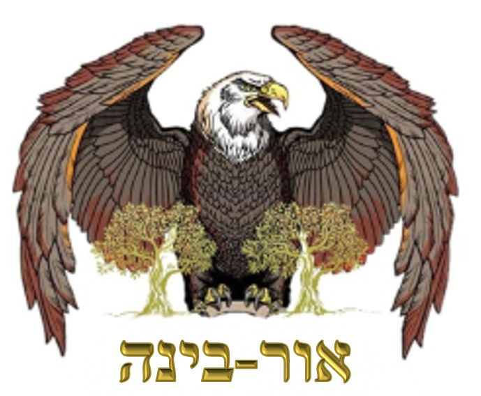 UR-BINAH